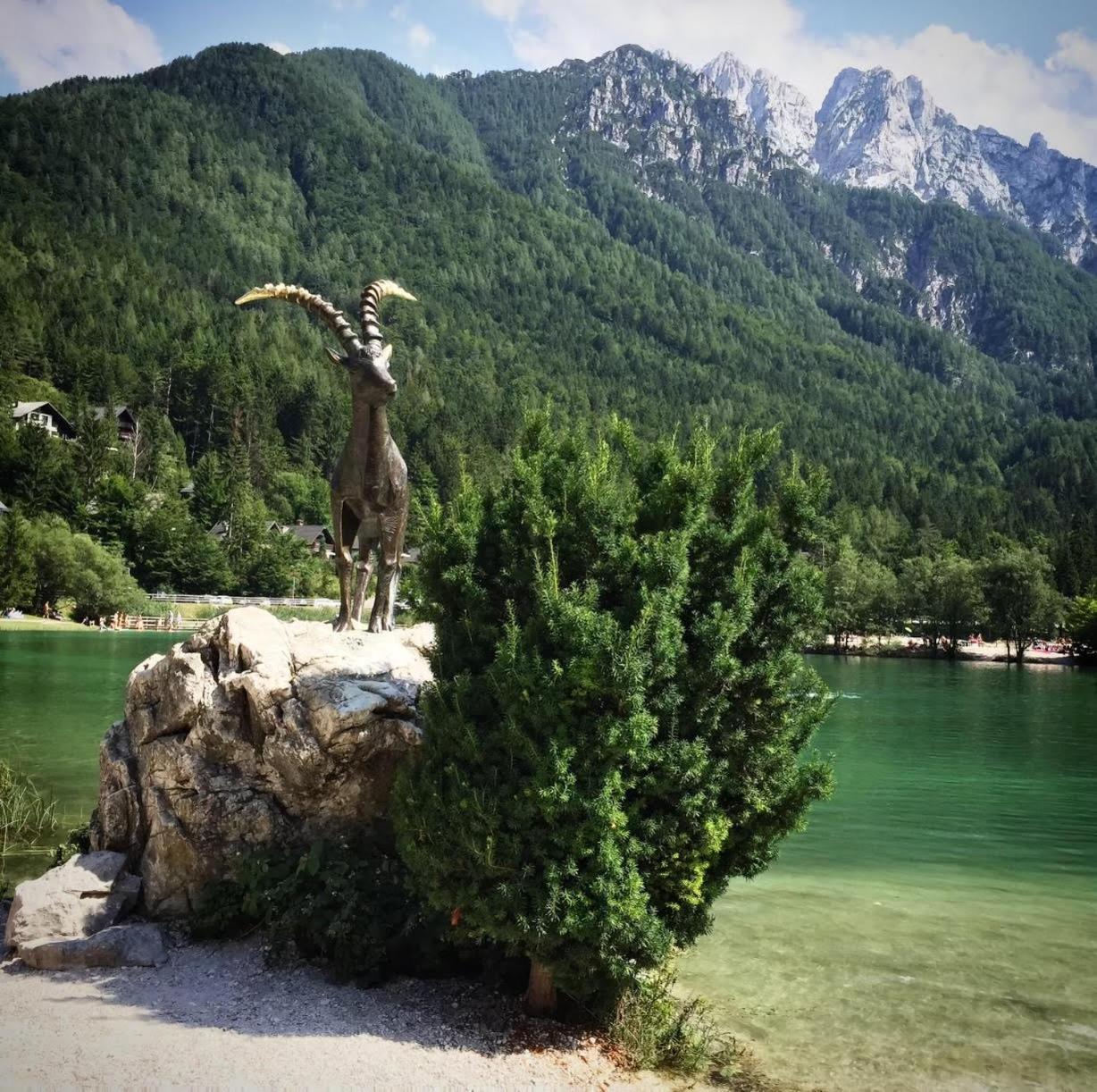 Ski Hut Smucka Kranjska Gora Luaran gambar
